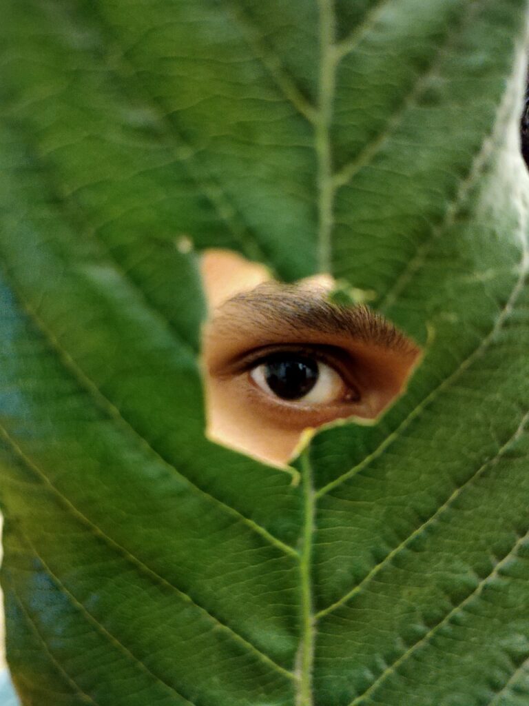 foto, un occhio che guarda attraverso un  buco fatto su una foglia.